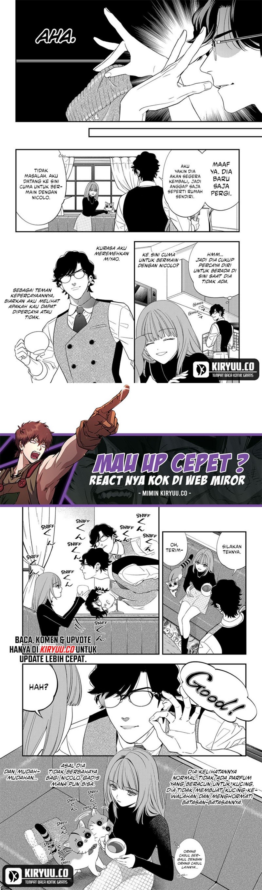 Miyaou Tarou ga Neko wo Kau Nante
