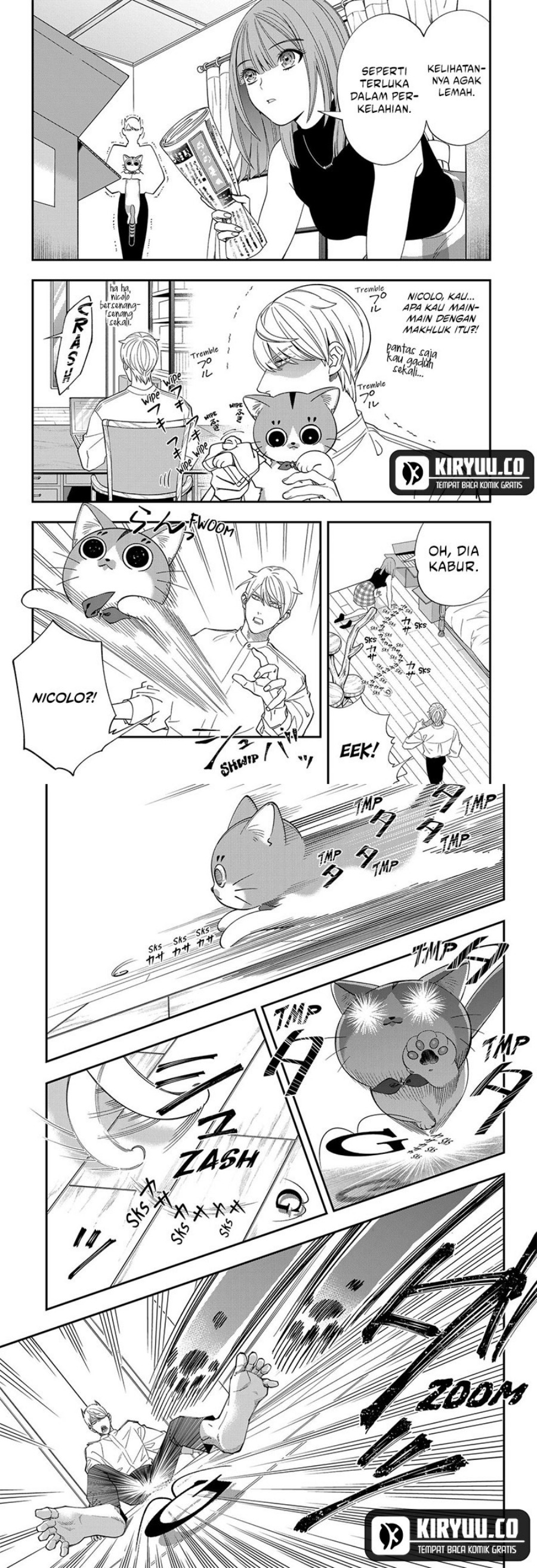 Miyaou Tarou ga Neko wo Kau Nante