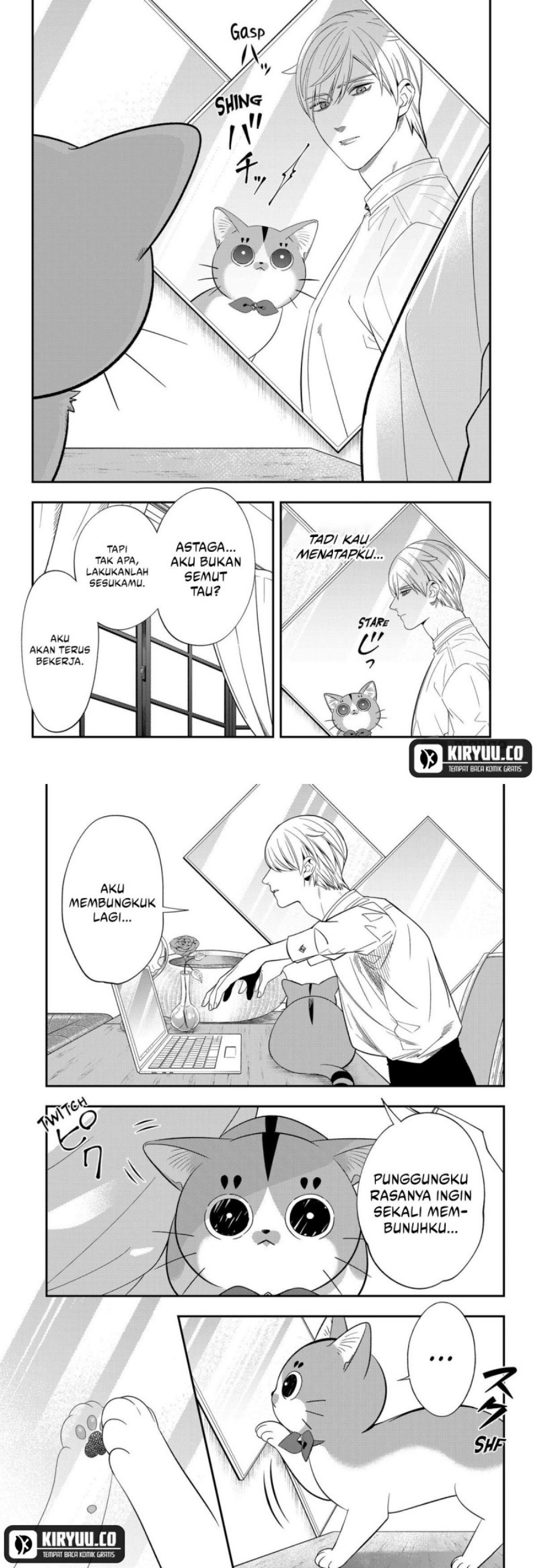 Miyaou Tarou ga Neko wo Kau Nante