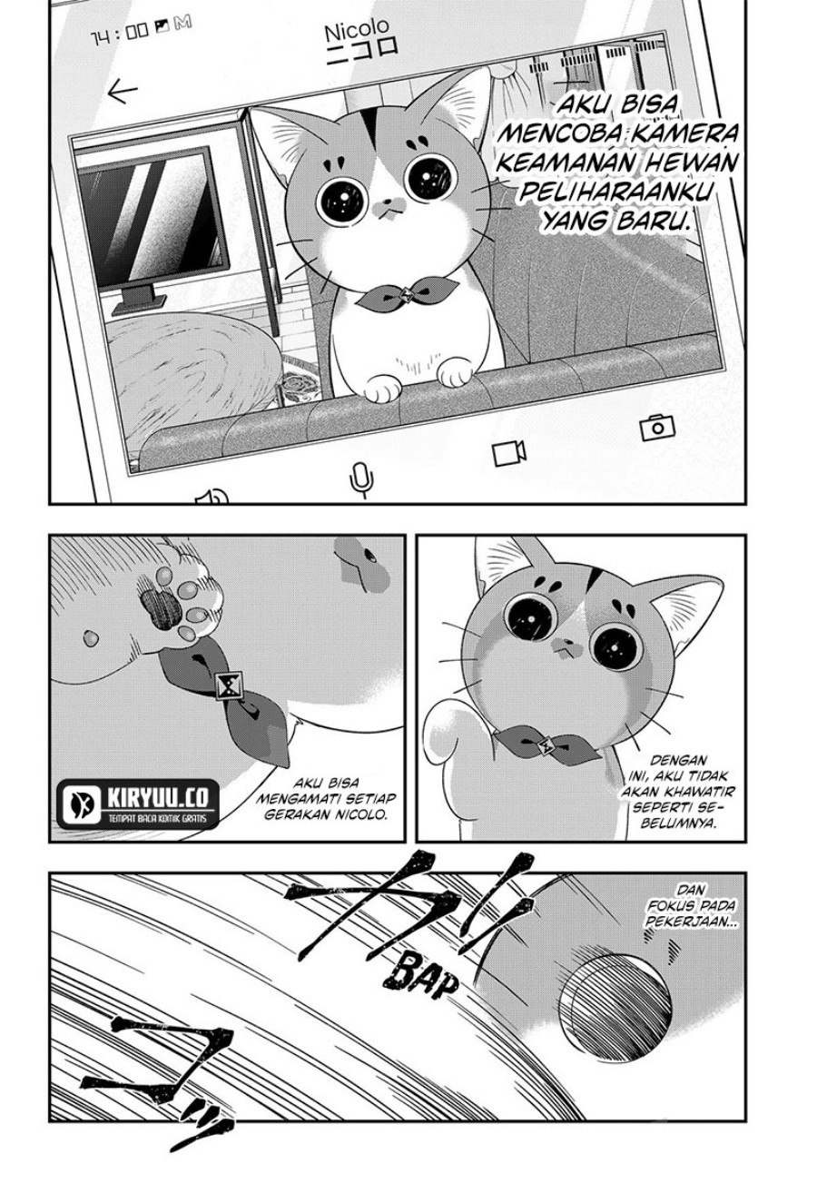 Miyaou Tarou ga Neko wo Kau Nante