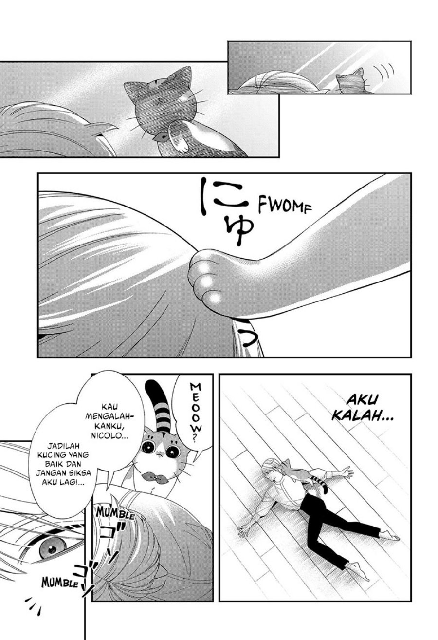Miyaou Tarou ga Neko wo Kau Nante