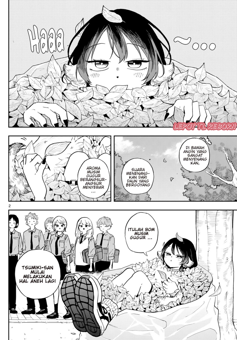 Ogami Tsumiki to Kinichijou.