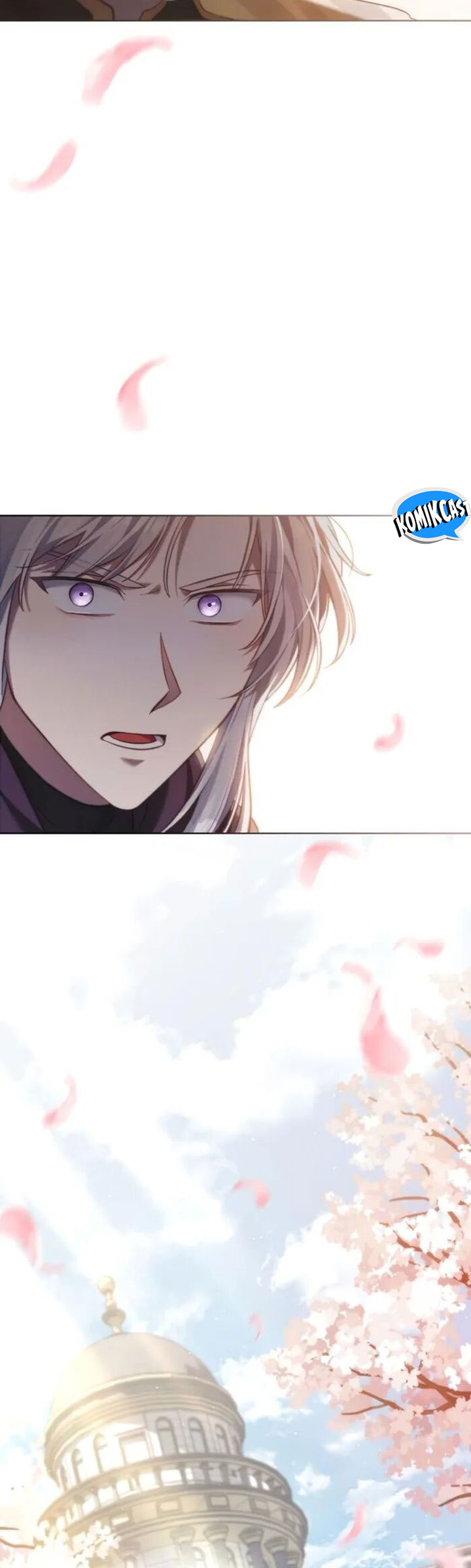 Reborn as the Enemy Prince