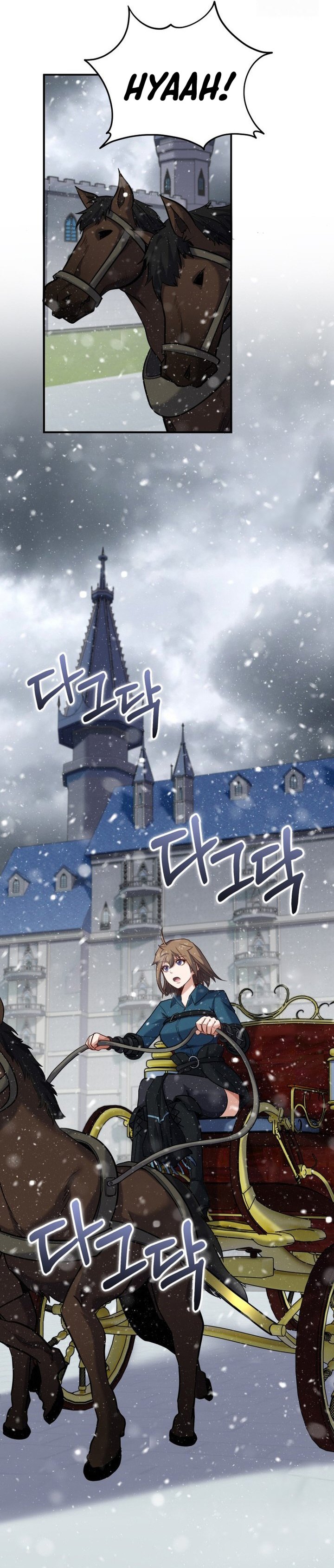 Reincarnation of the Swordmaster