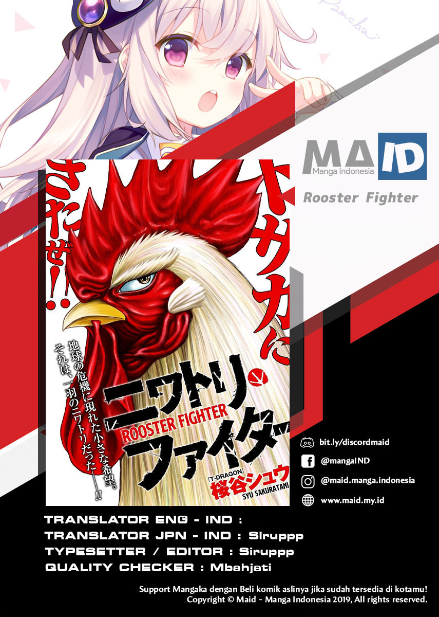 Rooster Fighter