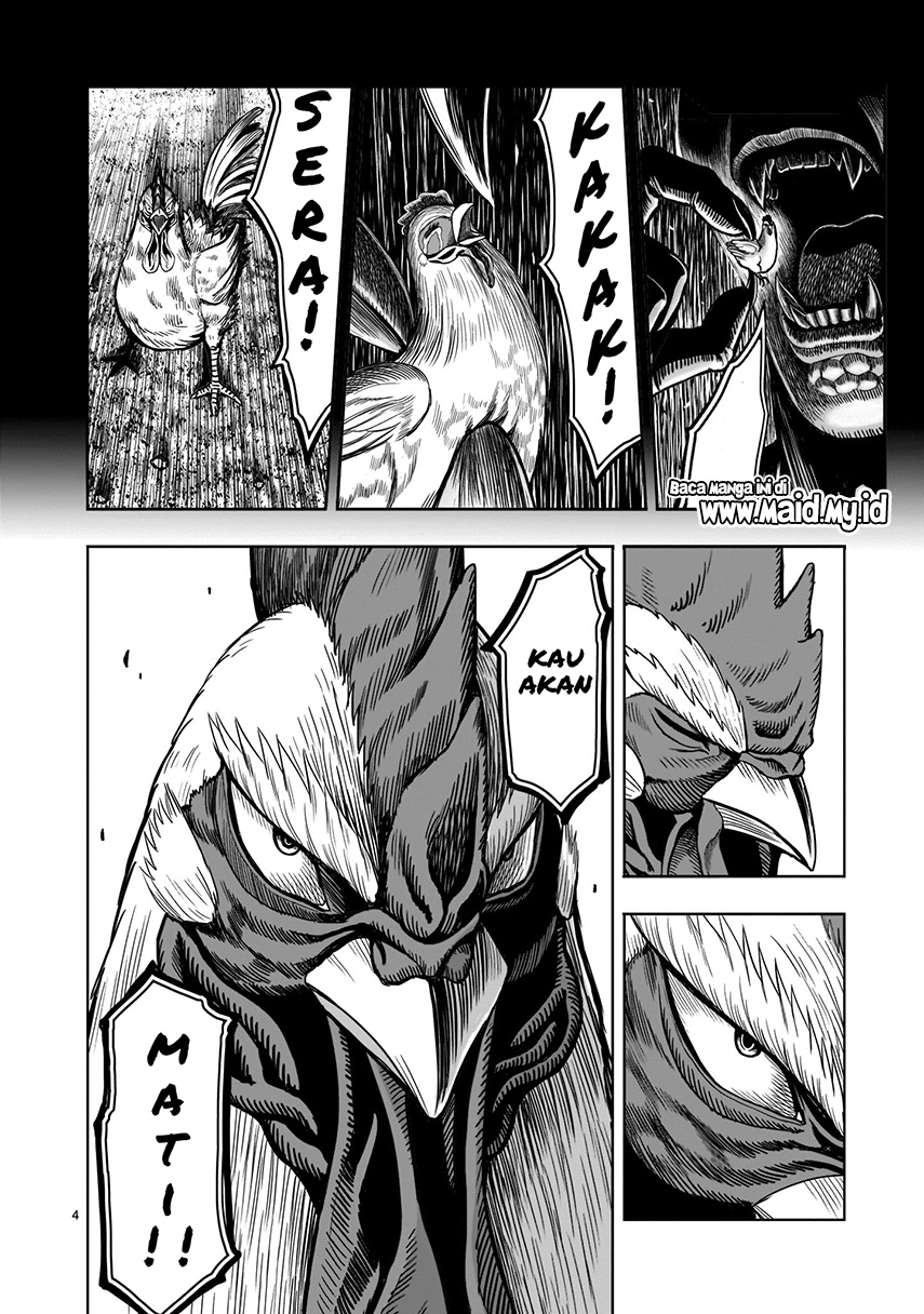 Rooster Fighter