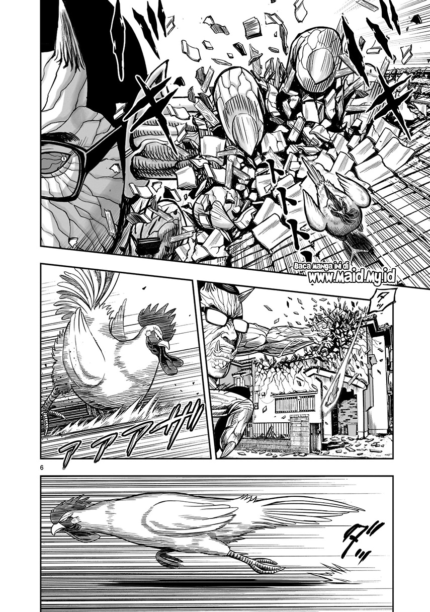 Rooster Fighter