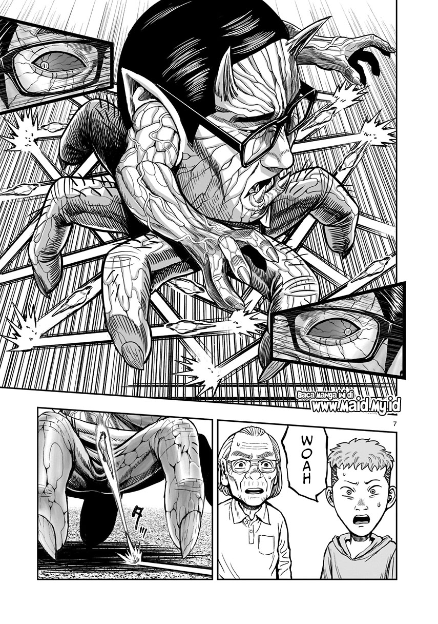 Rooster Fighter