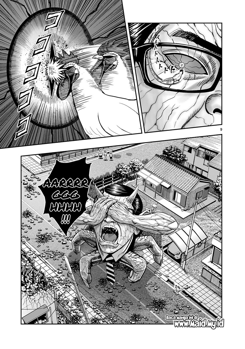 Rooster Fighter