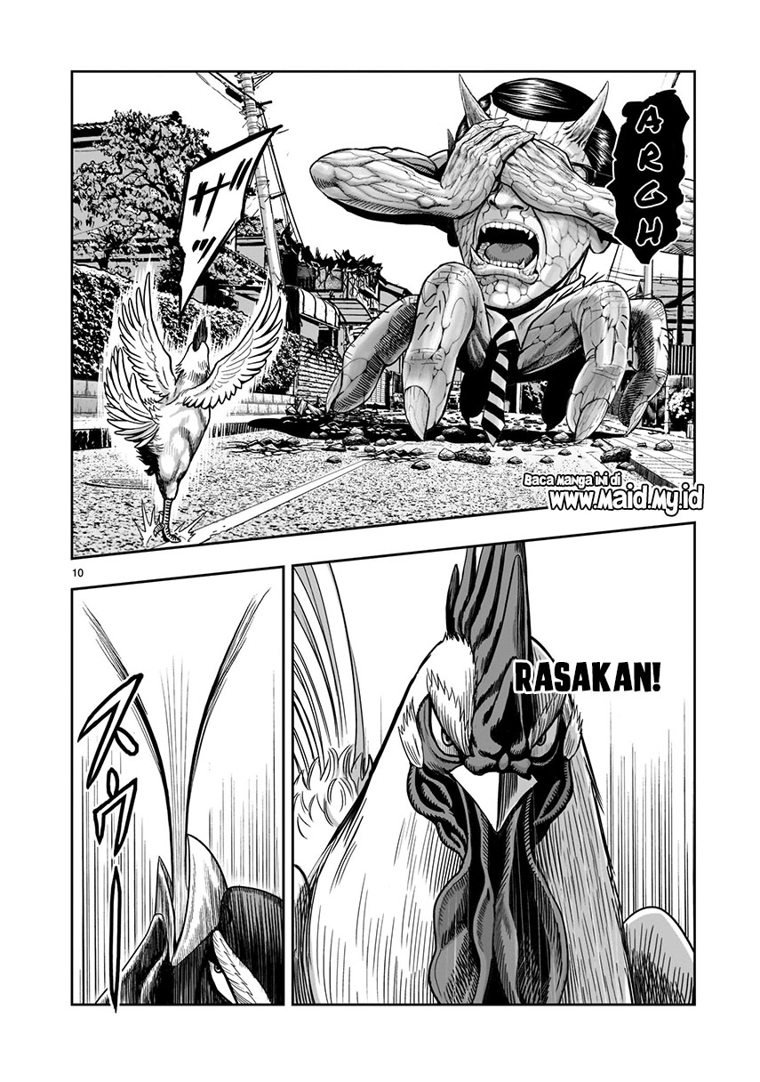 Rooster Fighter