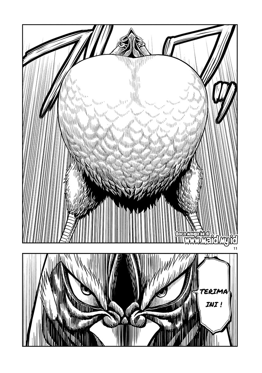 Rooster Fighter