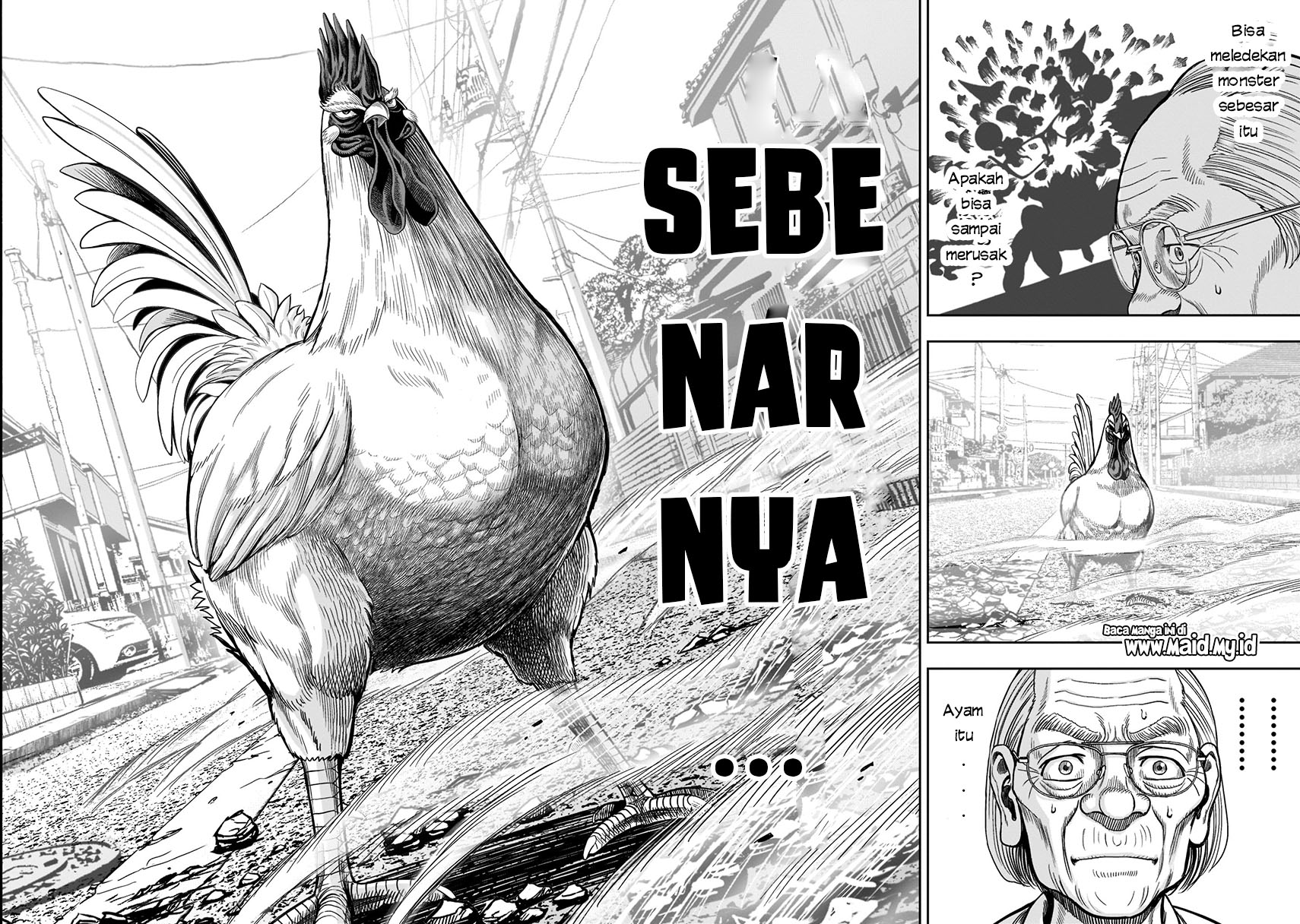 Rooster Fighter