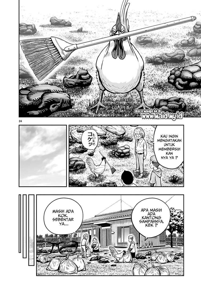 Rooster Fighter