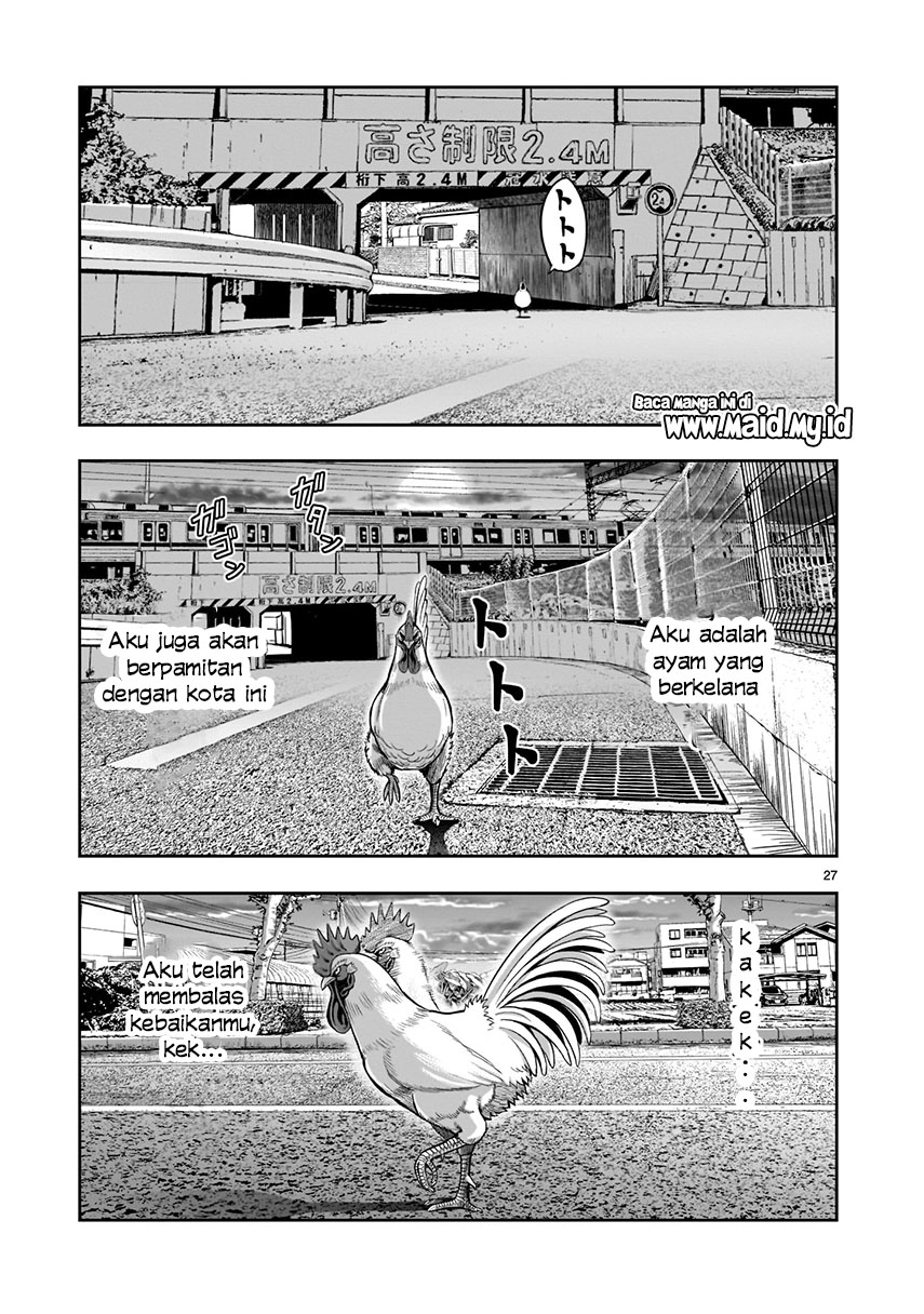 Rooster Fighter