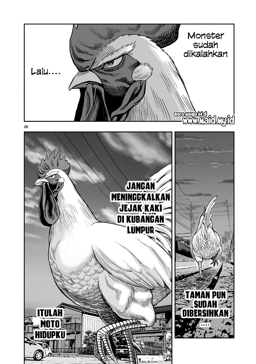 Rooster Fighter