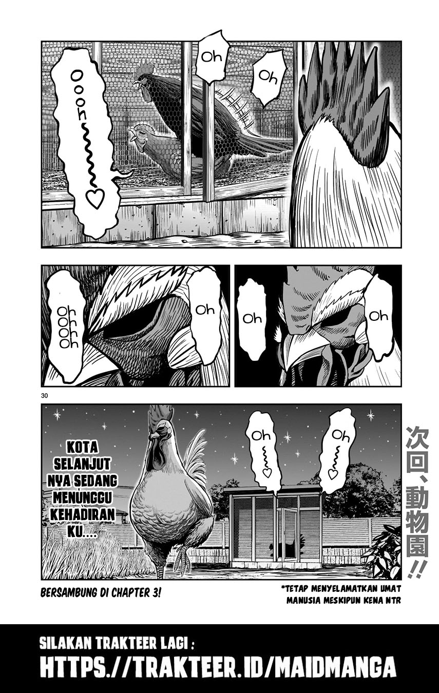 Rooster Fighter