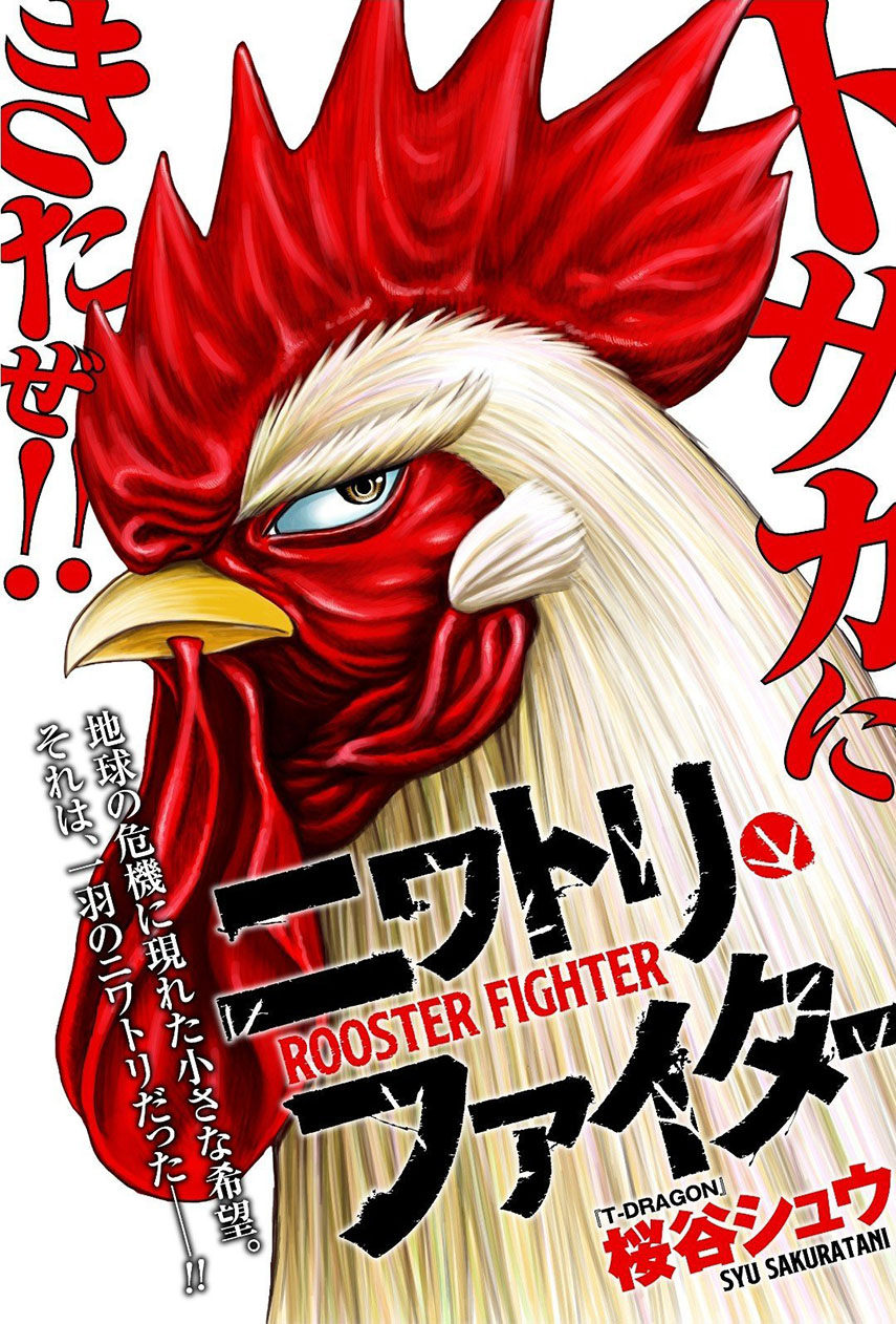 Rooster Fighter