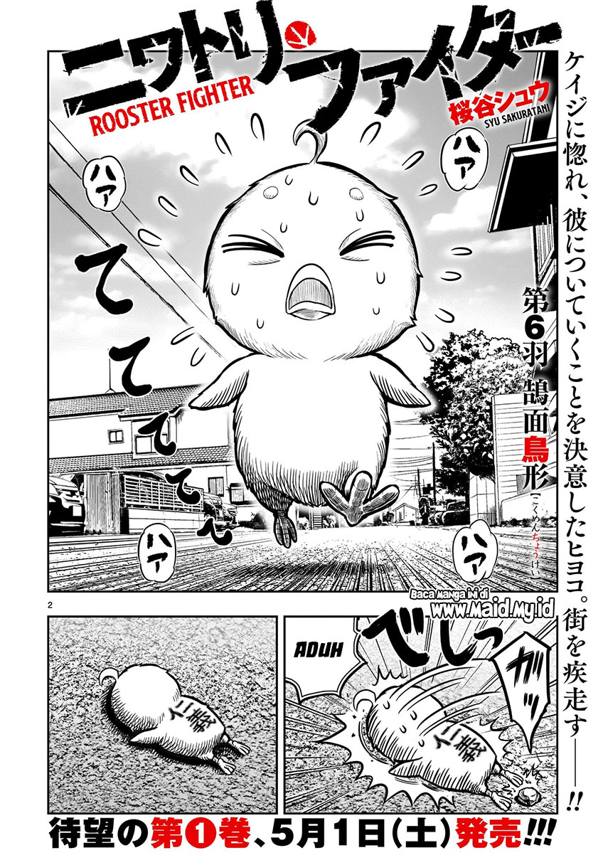 Rooster Fighter
