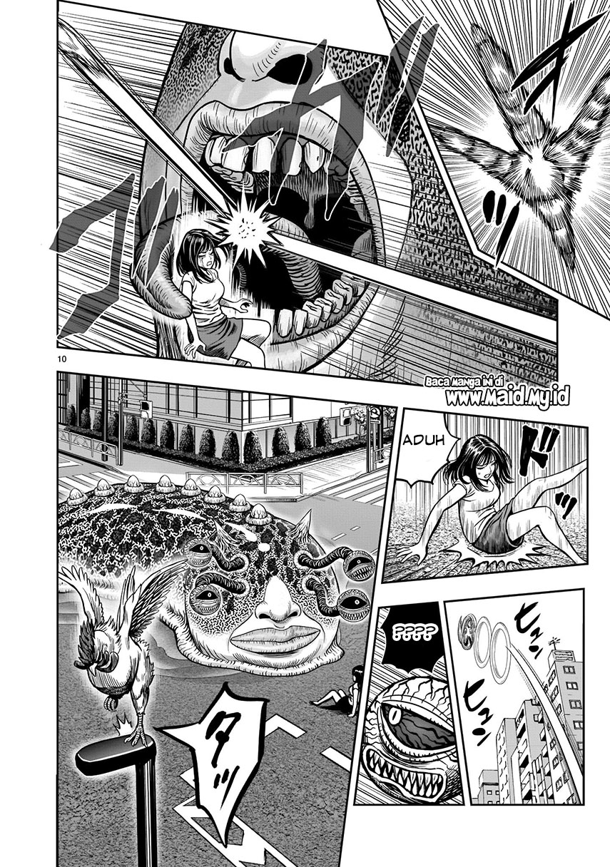 Rooster Fighter