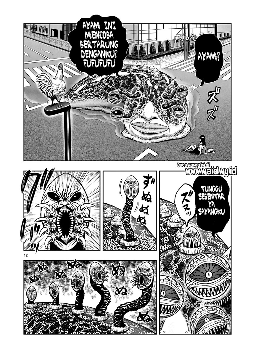 Rooster Fighter