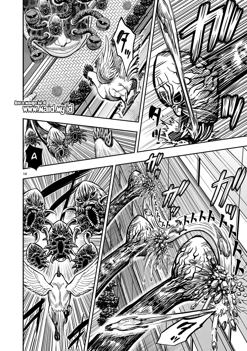 Rooster Fighter