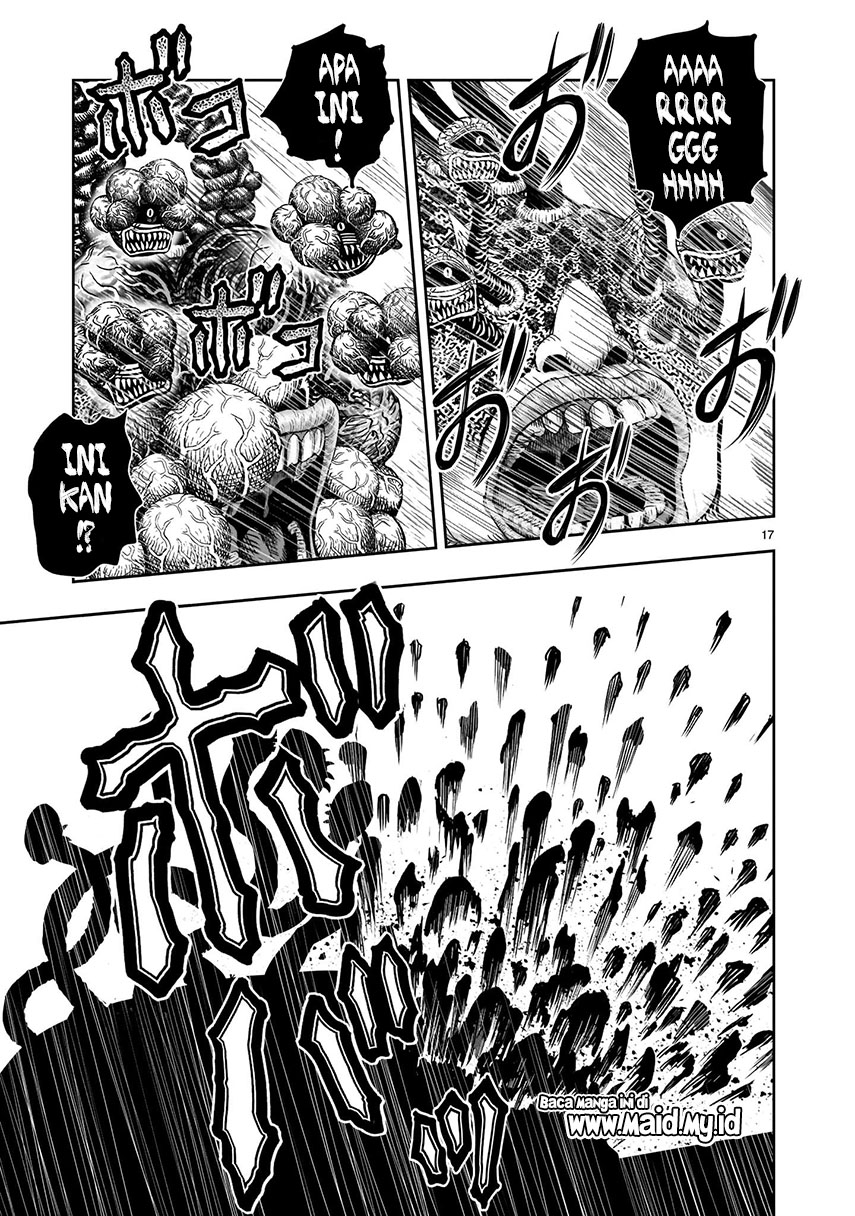 Rooster Fighter