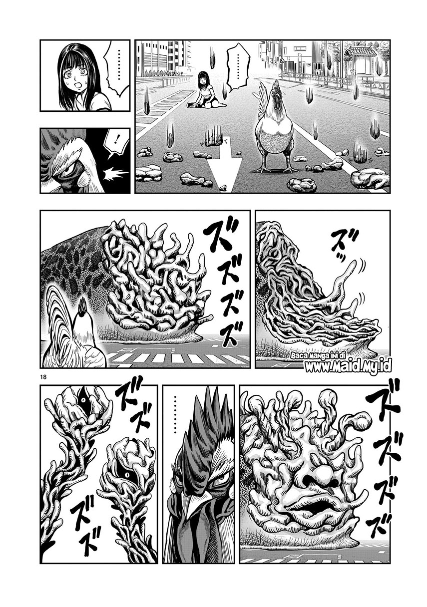 Rooster Fighter