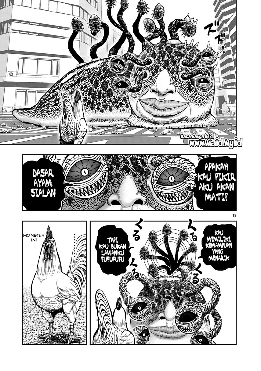 Rooster Fighter