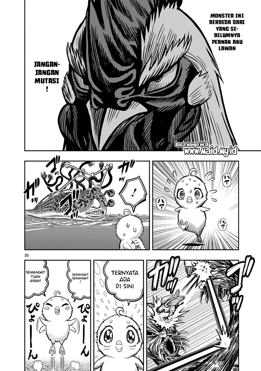 Rooster Fighter
