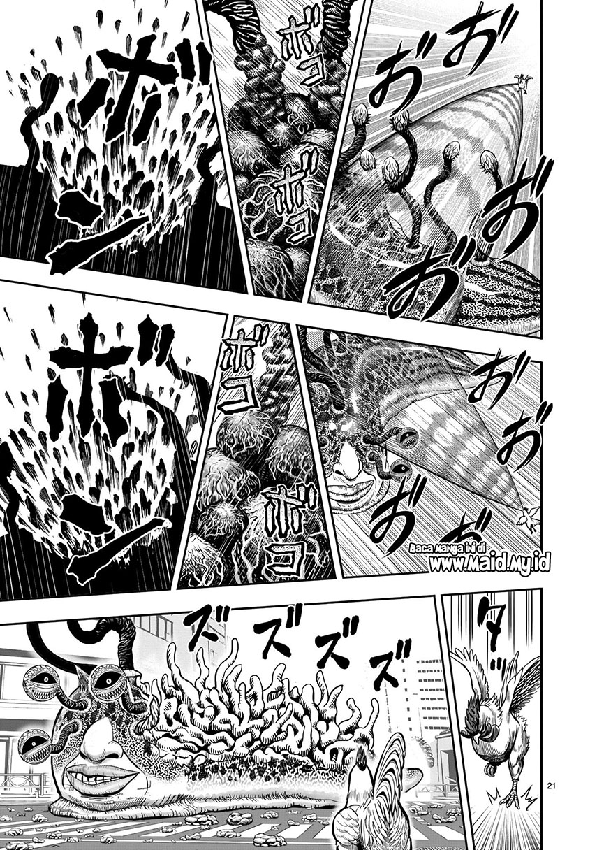 Rooster Fighter