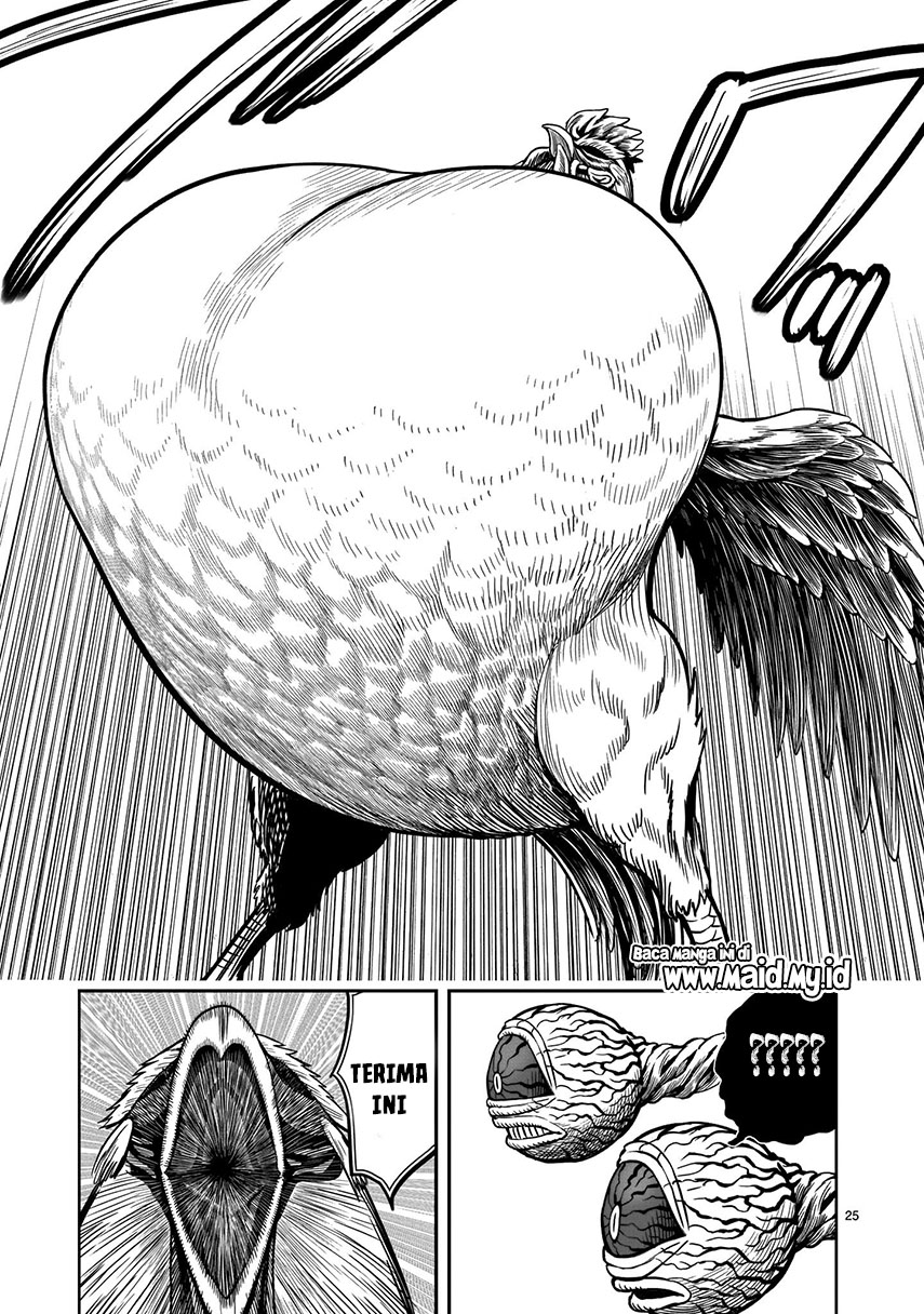 Rooster Fighter
