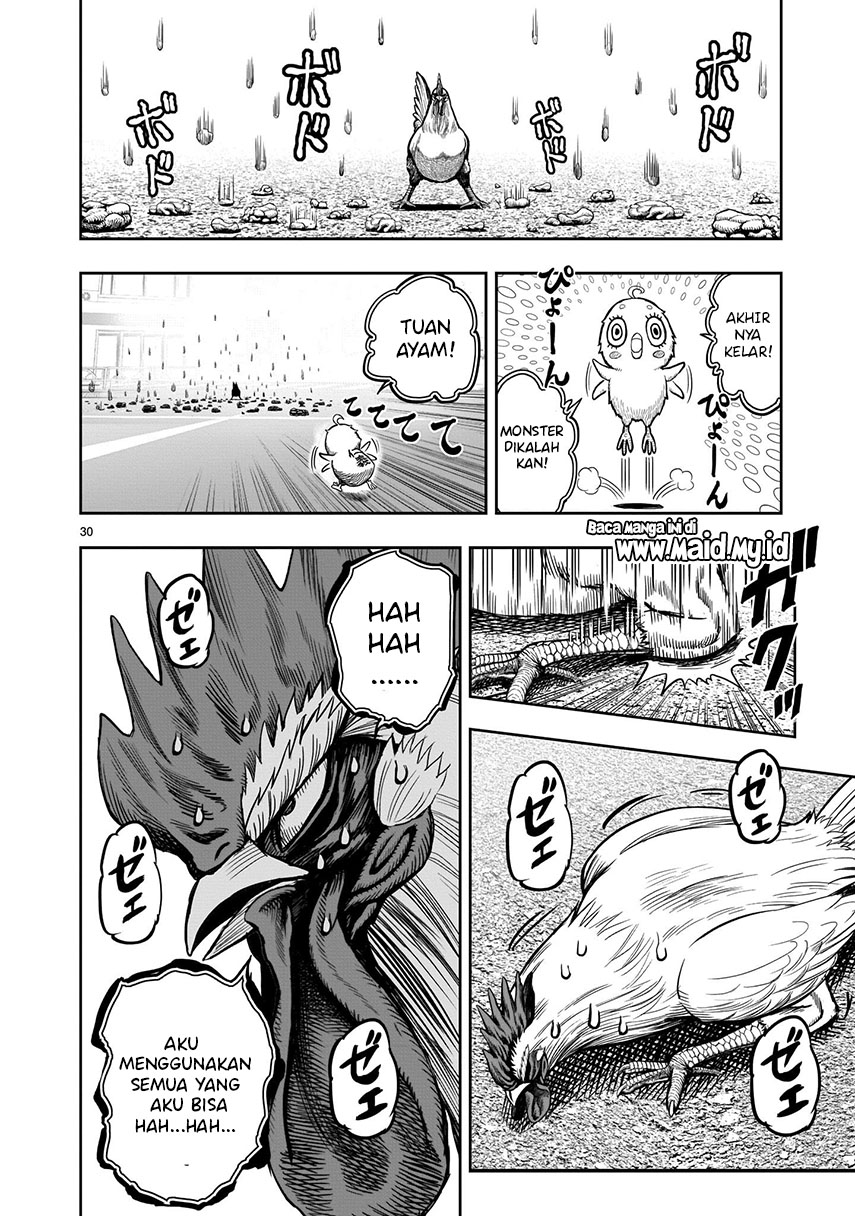 Rooster Fighter