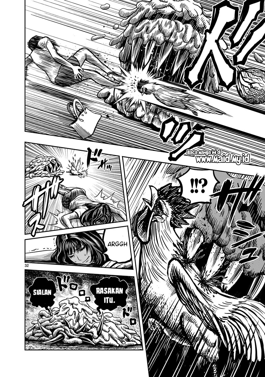 Rooster Fighter