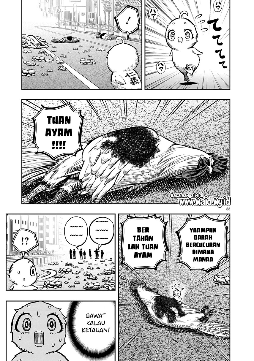 Rooster Fighter