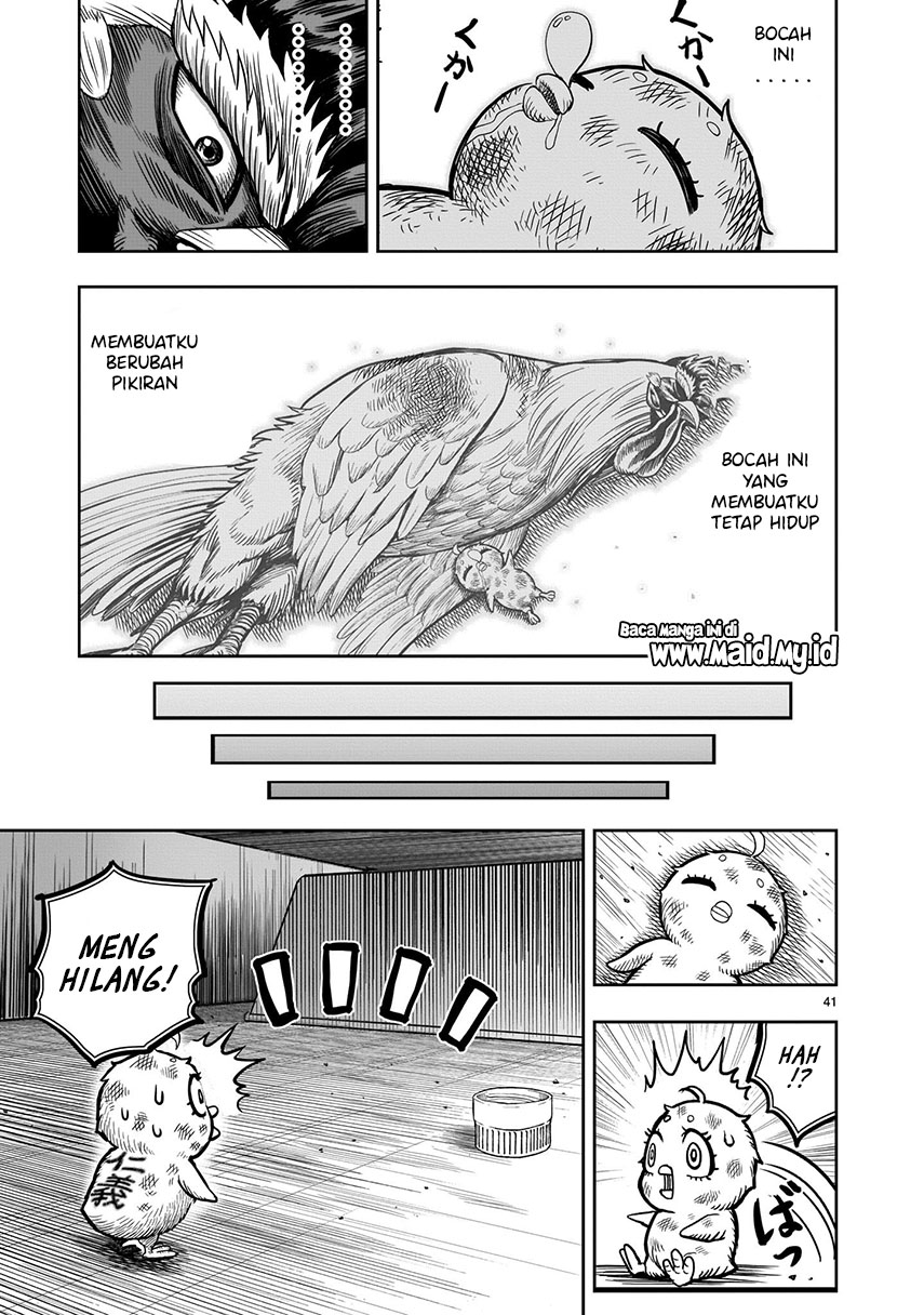 Rooster Fighter