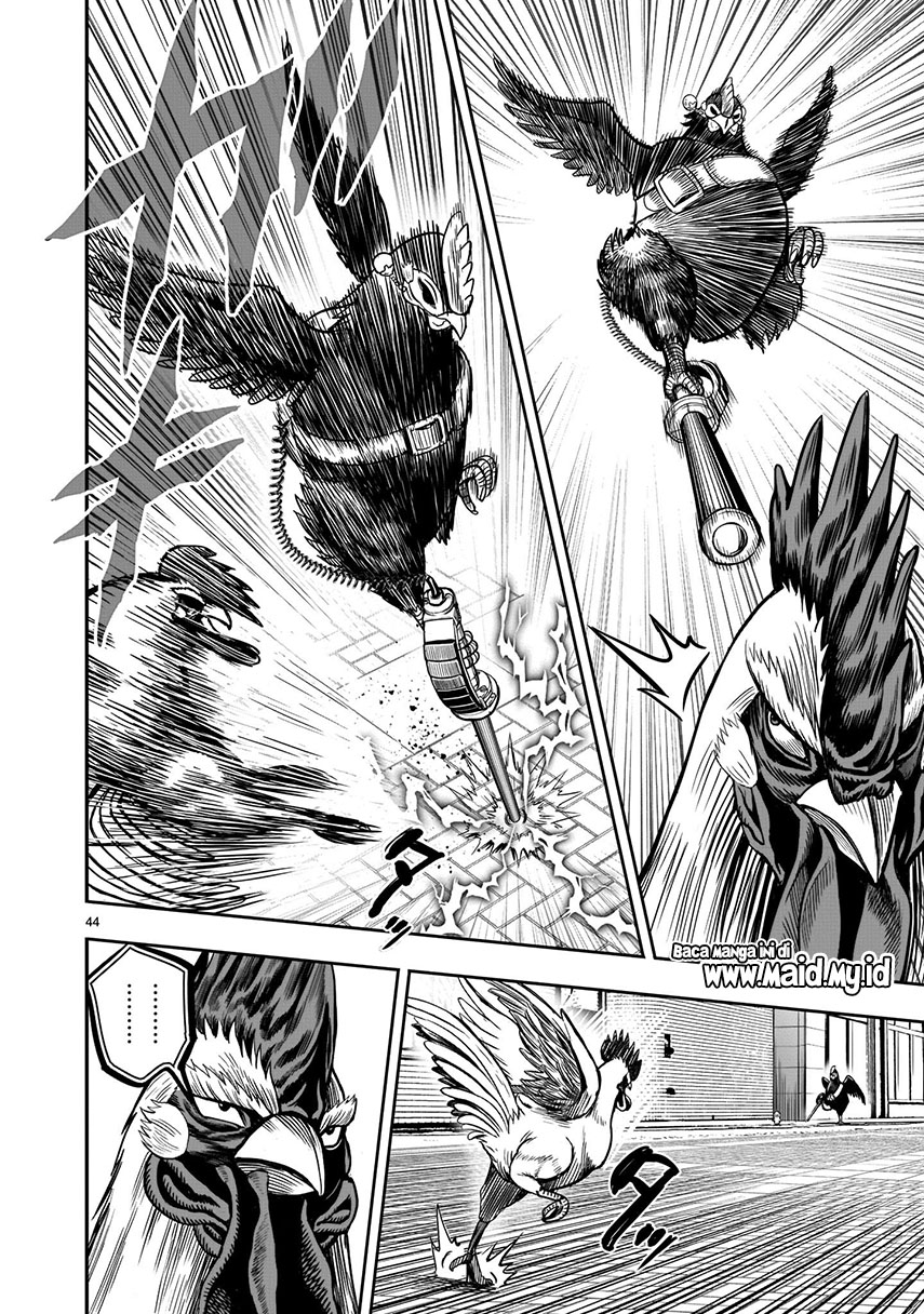Rooster Fighter