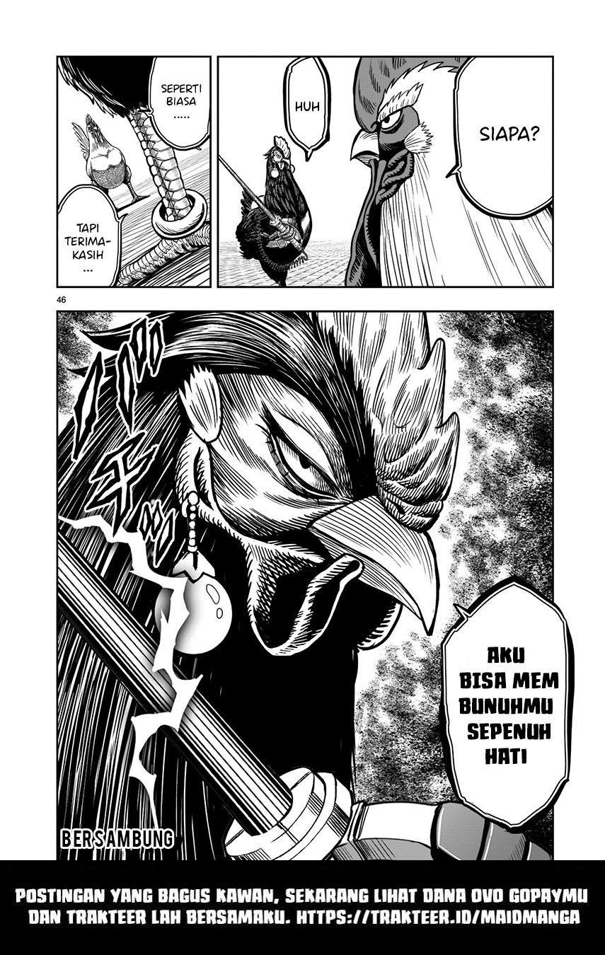 Rooster Fighter