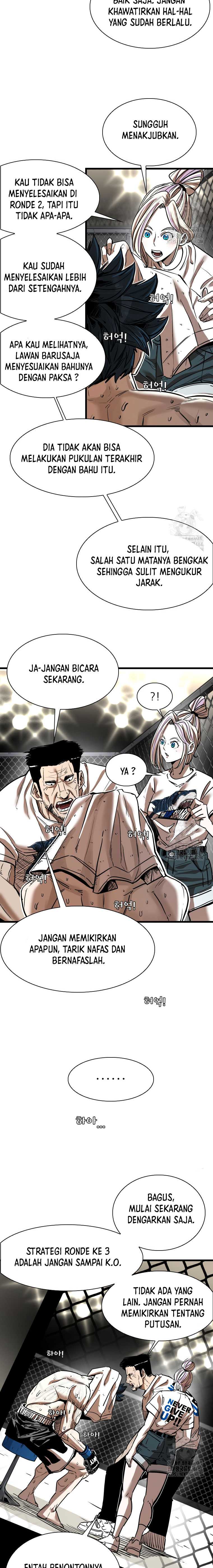 Shark