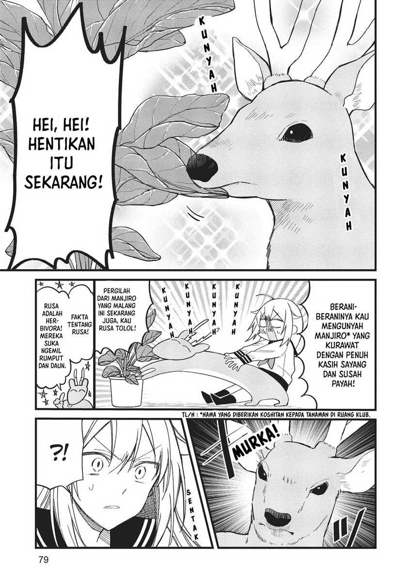 Shikanoko Nokonoko Koshitantan
