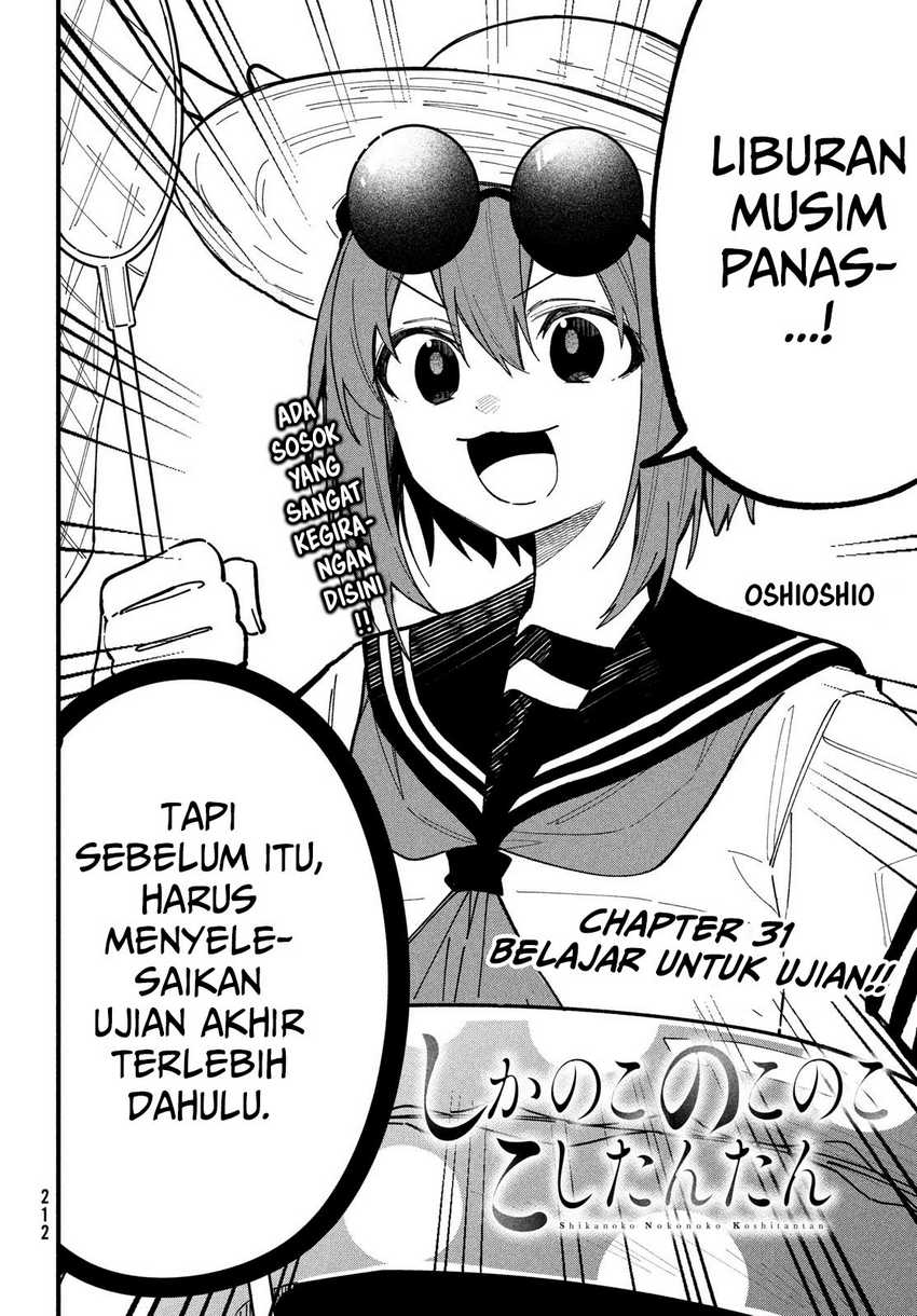 Shikanoko Nokonoko Koshitantan