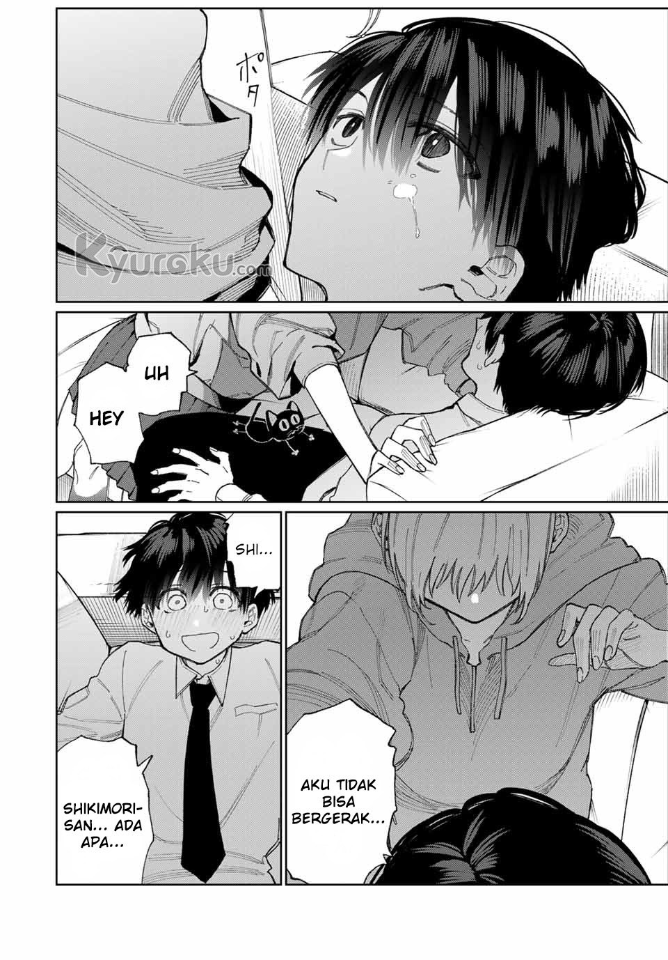 That Girl Is Not Just Cute (Shikimori’s Not Just a Cutie)
