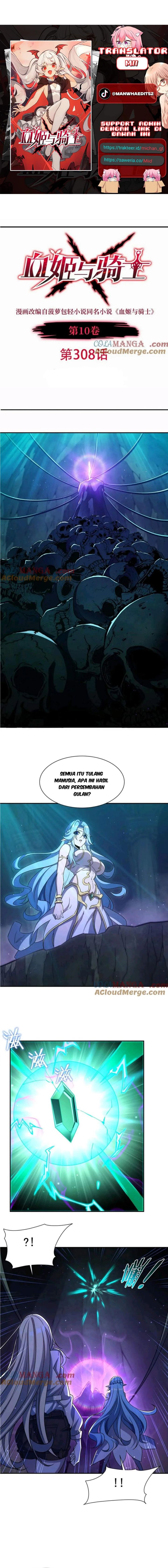 The Blood Princess And The Knight