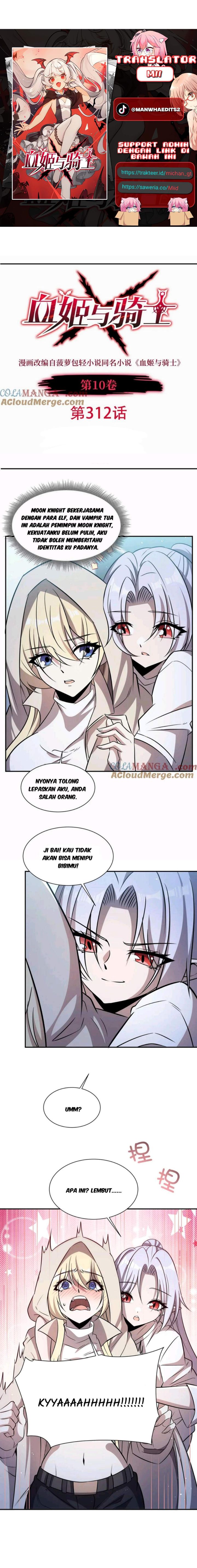 The Blood Princess And The Knight