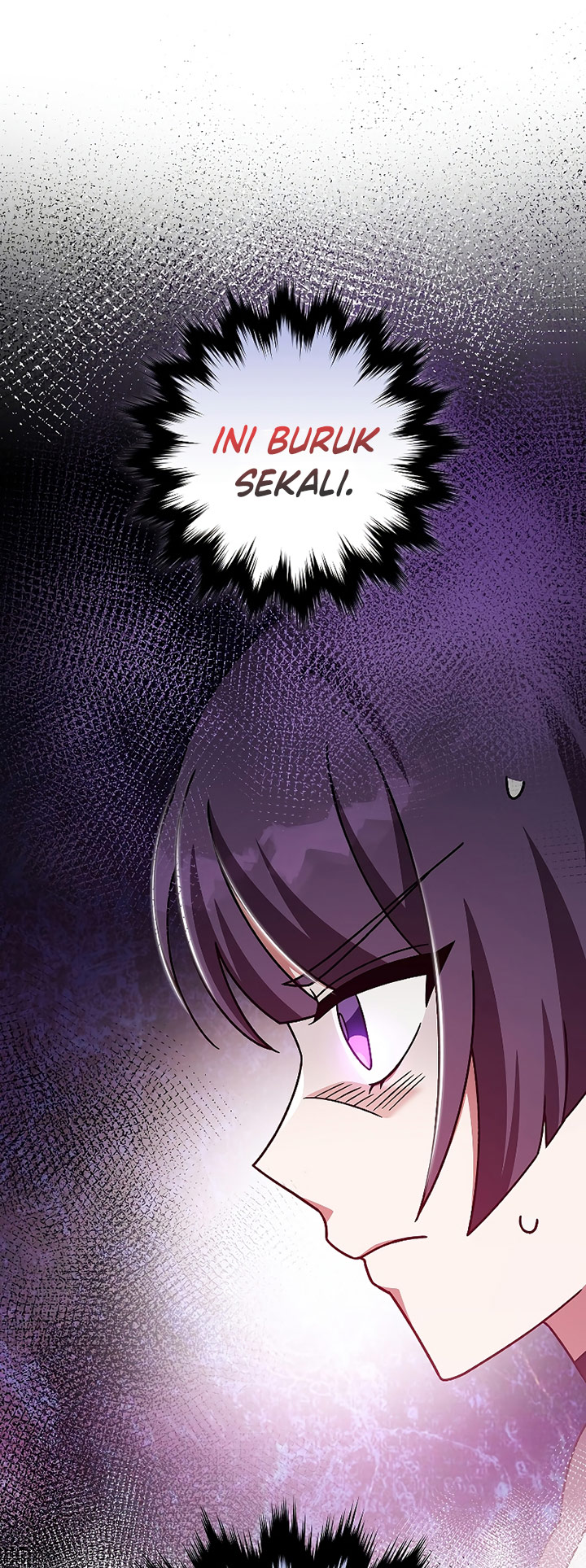 The Novel’s Extra (Remake)
