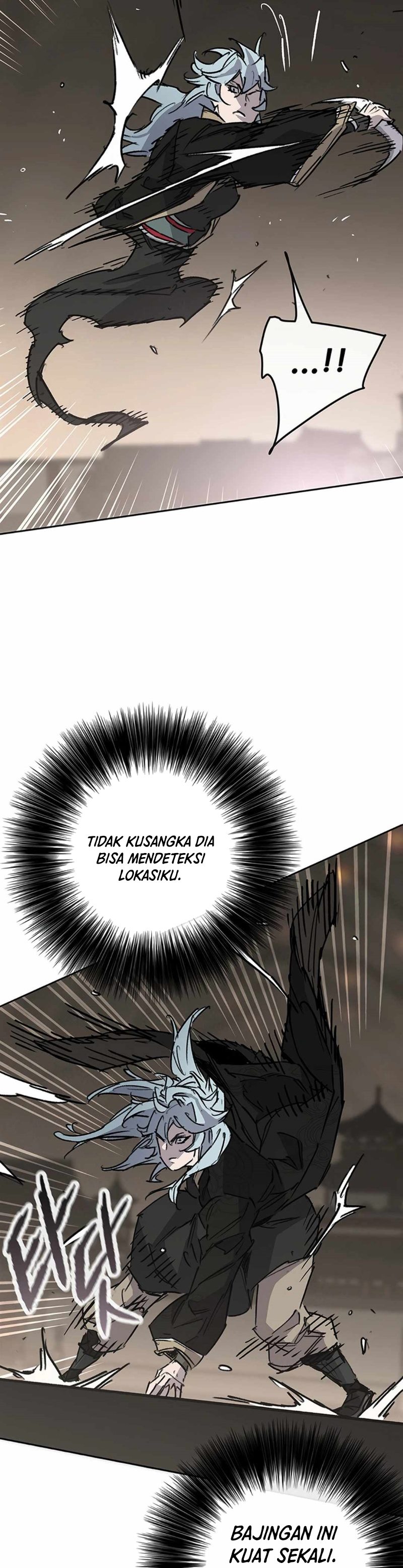 The Undefeatable Swordsman