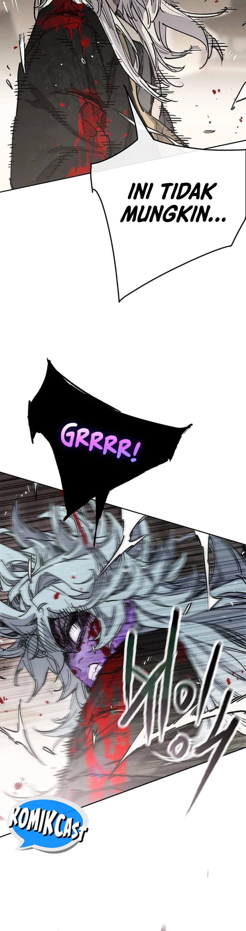 The Undefeatable Swordsman