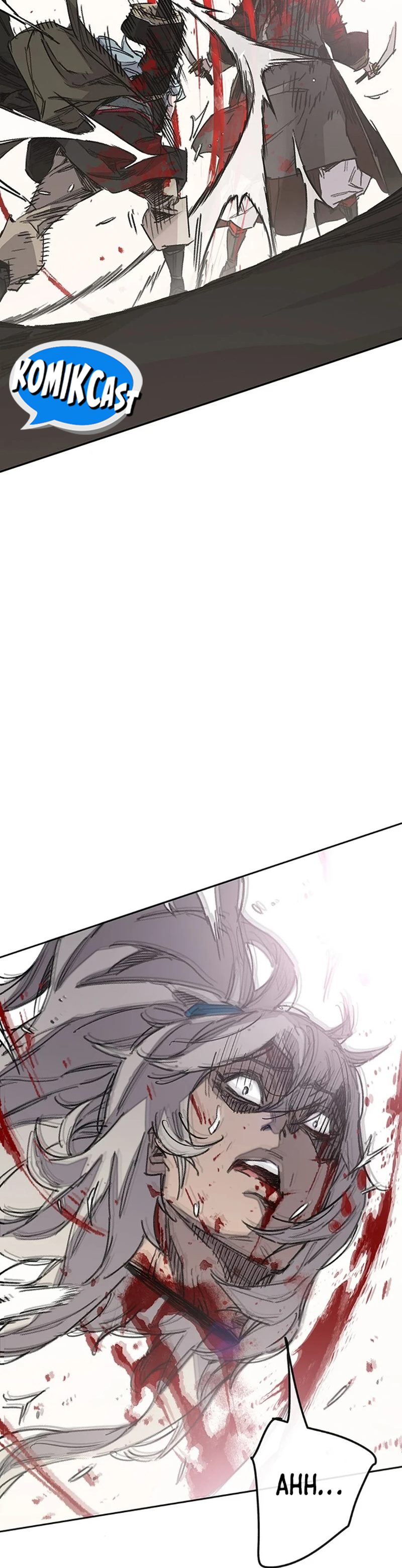 The Undefeatable Swordsman