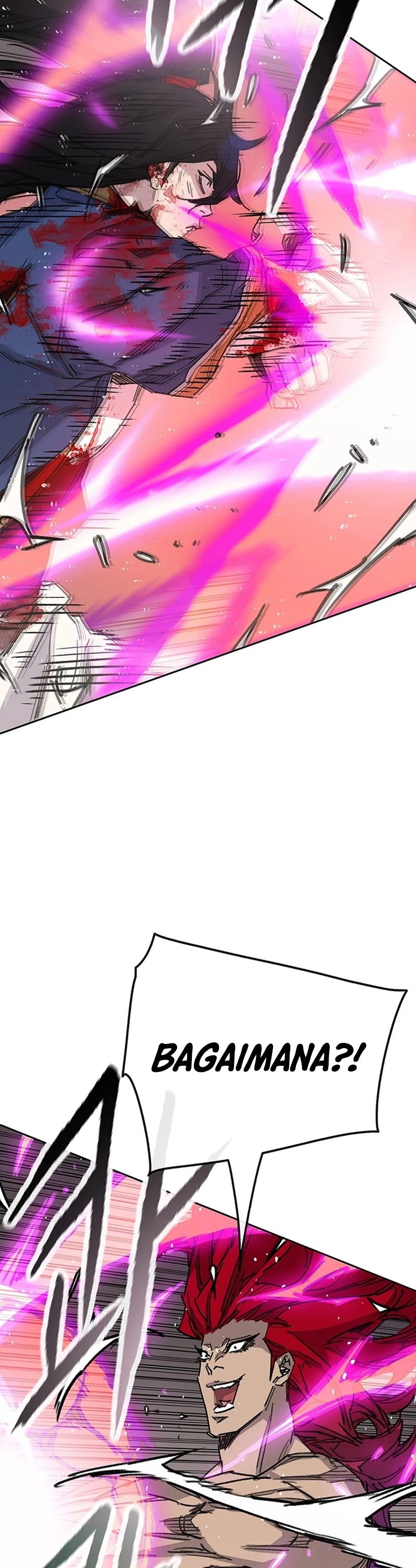 The Undefeatable Swordsman