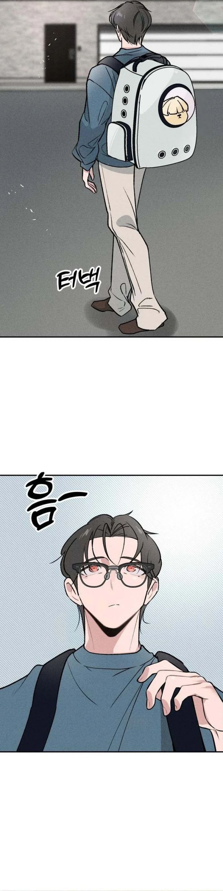 The Devilish Son-In-Law