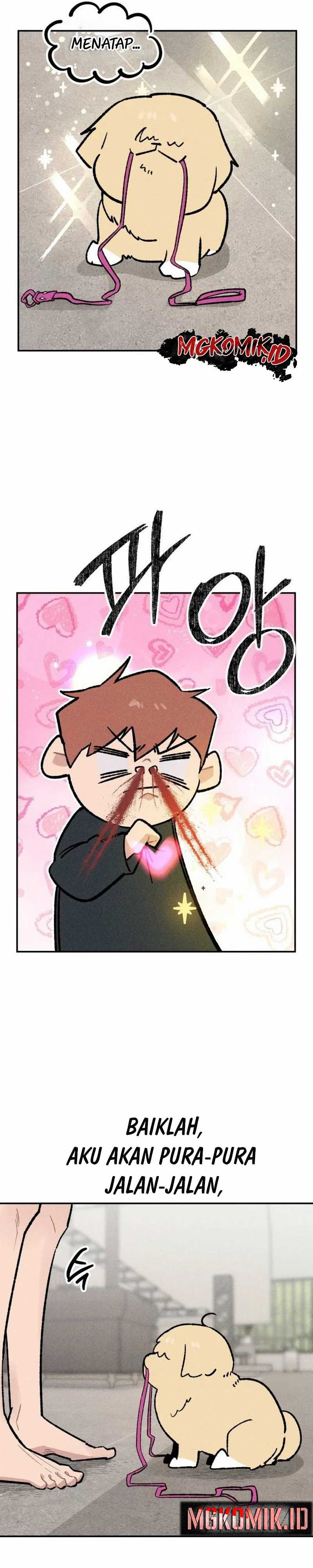 The Devilish Son-In-Law